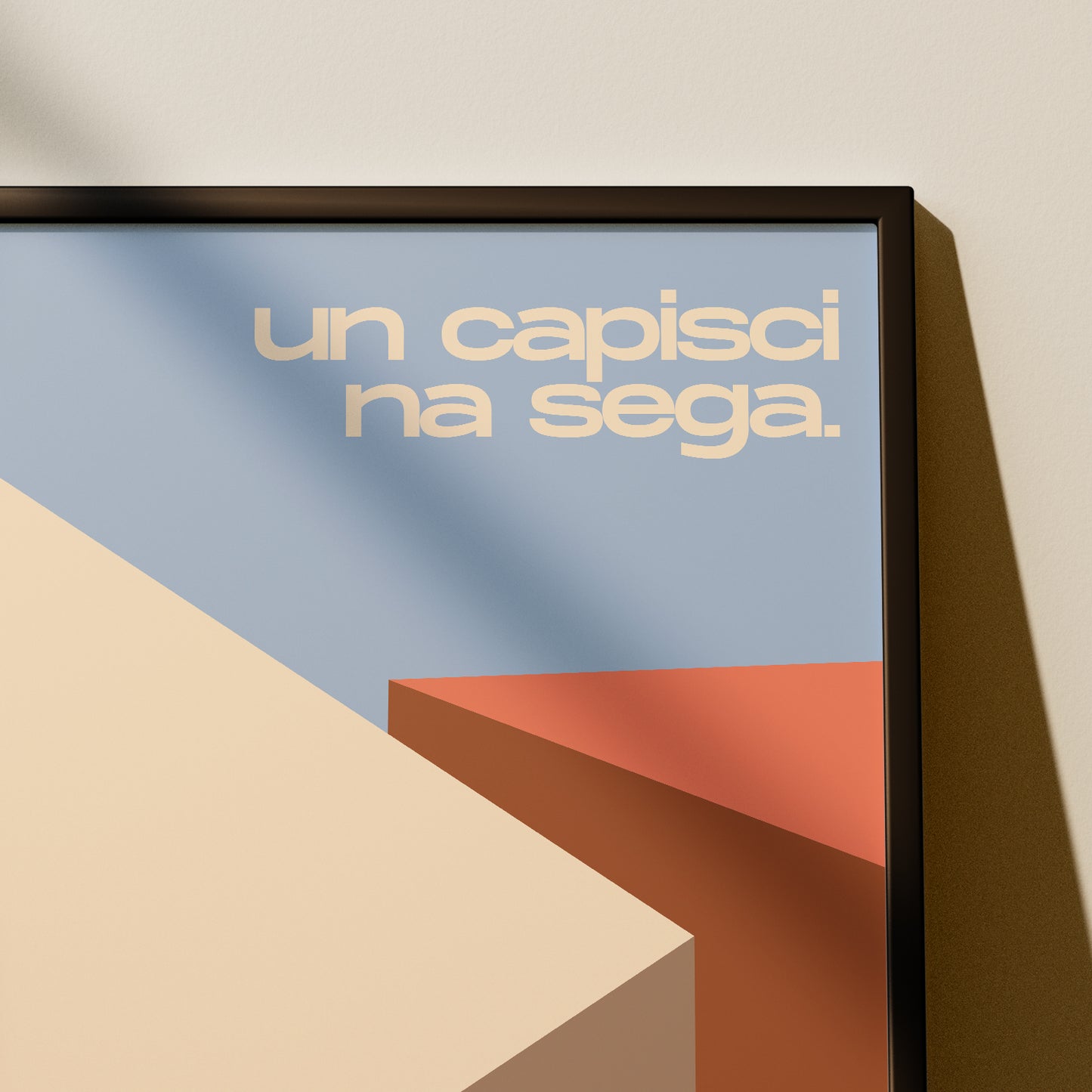 Un capisci na sega